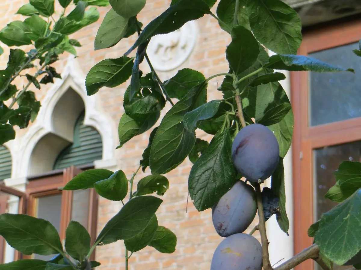 Bed & Breakfast Villa Elisabetta Venetië-Lido